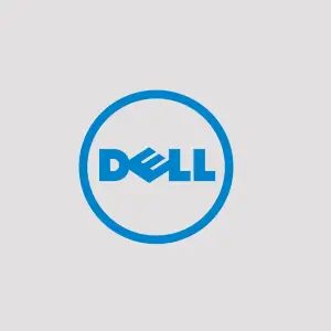 Dell India